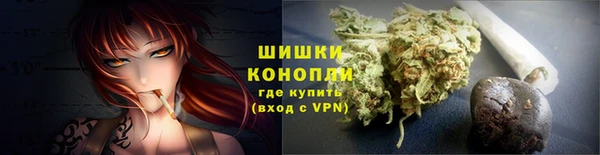 mdpv Гусев