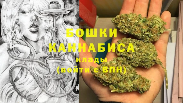 2c-b Гусиноозёрск